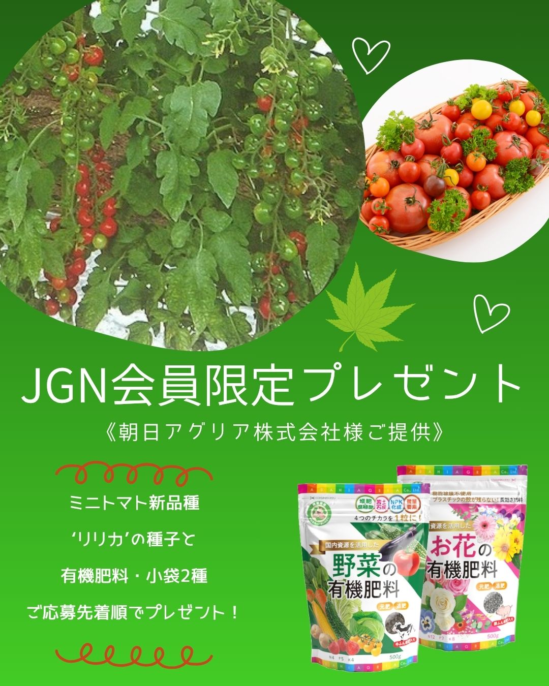 2026年4月28日～ JGN会員限定プレゼントキャンペーン 『肥料・小袋タイプ2種とミニトマト‘リリカ’の種子』 ご応募先着順にプレゼントします 《朝日アグリア株式会社様ご提供》 これからJGNにご入会される方と初月無料『JGN １か月お試しキャンペーン』参加者もご応募いただけます！