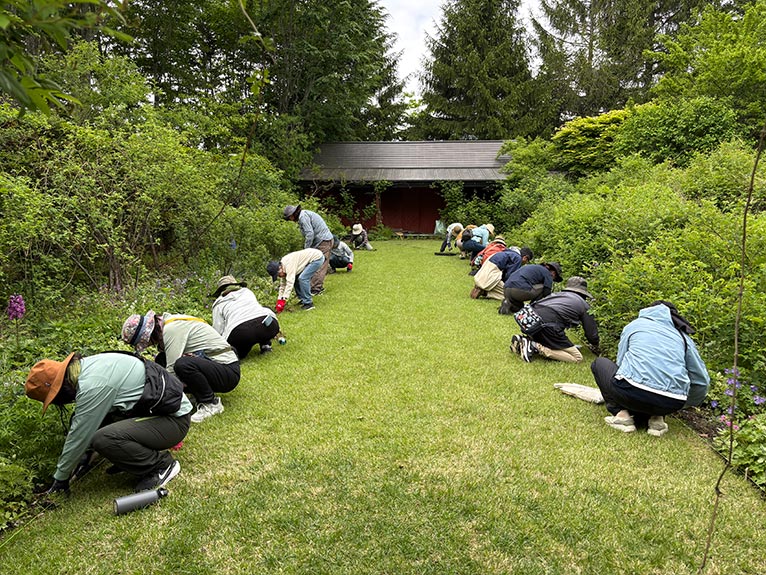 2026年5月24日 JGN 庭の実践講座『恵泉蓼科ガーデンに学ぶ』～プロに学ぶ植栽管理と、季節を愛でる庭作業体験～を終えて 講師：JGN創立メンバー・恵泉蓼科ガーデン ガーデン長 小澤 文子氏 芝生のエッジを整える作業