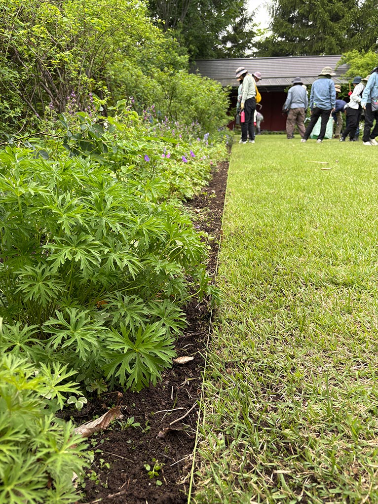 2026年5月24日 JGN 庭の実践講座『恵泉蓼科ガーデンに学ぶ』～プロに学ぶ植栽管理と、季節を愛でる庭作業体験～を終えて 講師：JGN創立メンバー・恵泉蓼科ガーデン ガーデン長 小澤 文子氏 作業後