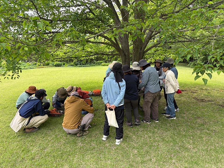 2026年5月24日 JGN 庭の実践講座『恵泉蓼科ガーデンに学ぶ』～プロに学ぶ植栽管理と、季節を愛でる庭作業体験～を終えて 講師：JGN創立メンバー・恵泉蓼科ガーデン ガーデン長 小澤 文子氏 ダリアの分球