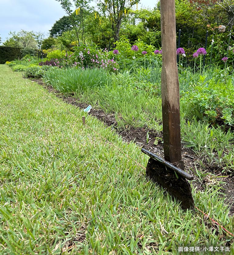 2026年5月24日 JGN 庭の実践講座『恵泉蓼科ガーデンに学ぶ』～プロに学ぶ植栽管理と、季節を愛でる庭作業体験～講師：JGN創立メンバー・恵泉蓼科ガーデン ガーデン長 小澤 文子氏 芝生のエッジ切り（イメージ）