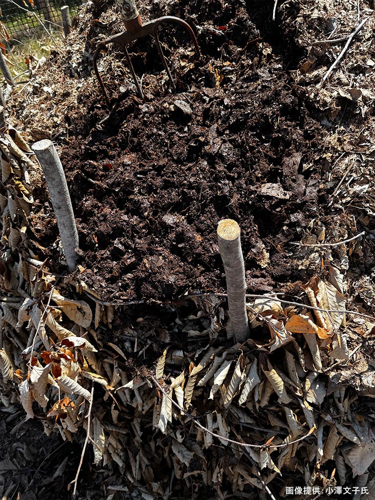 2026年5月24日 JGN 庭の実践講座『恵泉蓼科ガーデンに学ぶ』～プロに学ぶ植栽管理と、季節を愛でる庭作業体験～講師：JGN創立メンバー・恵泉蓼科ガーデン ガーデン長 小澤 文子氏 バイオネスト3年目の腐葉土