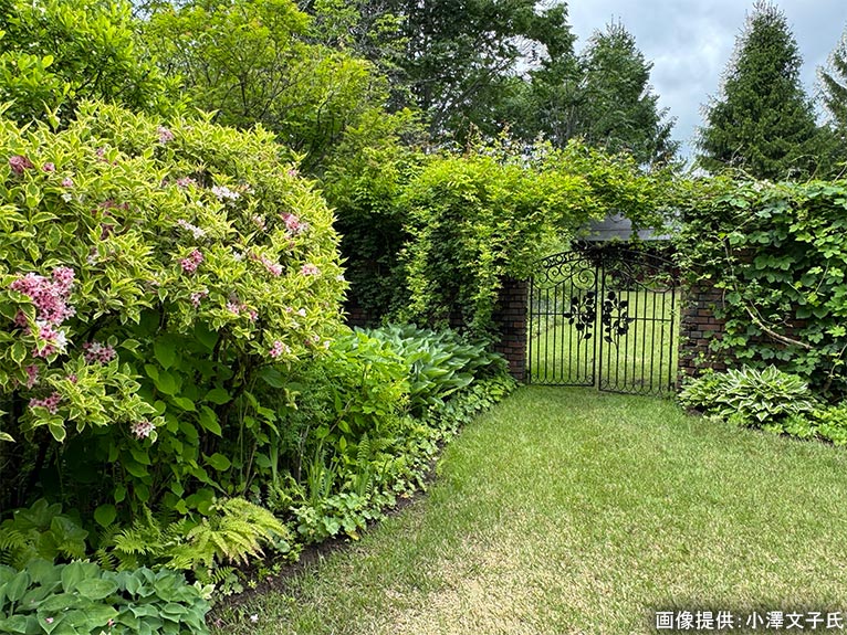 2026年5月24日 JGN 庭の実践講座『恵泉蓼科ガーデンに学ぶ』～プロに学ぶ植栽管理と、季節を愛でる庭作業体験～講師：JGN創立メンバー・恵泉蓼科ガーデン ガーデン長 小澤 文子氏 フォンテンガーデン（5月下旬）