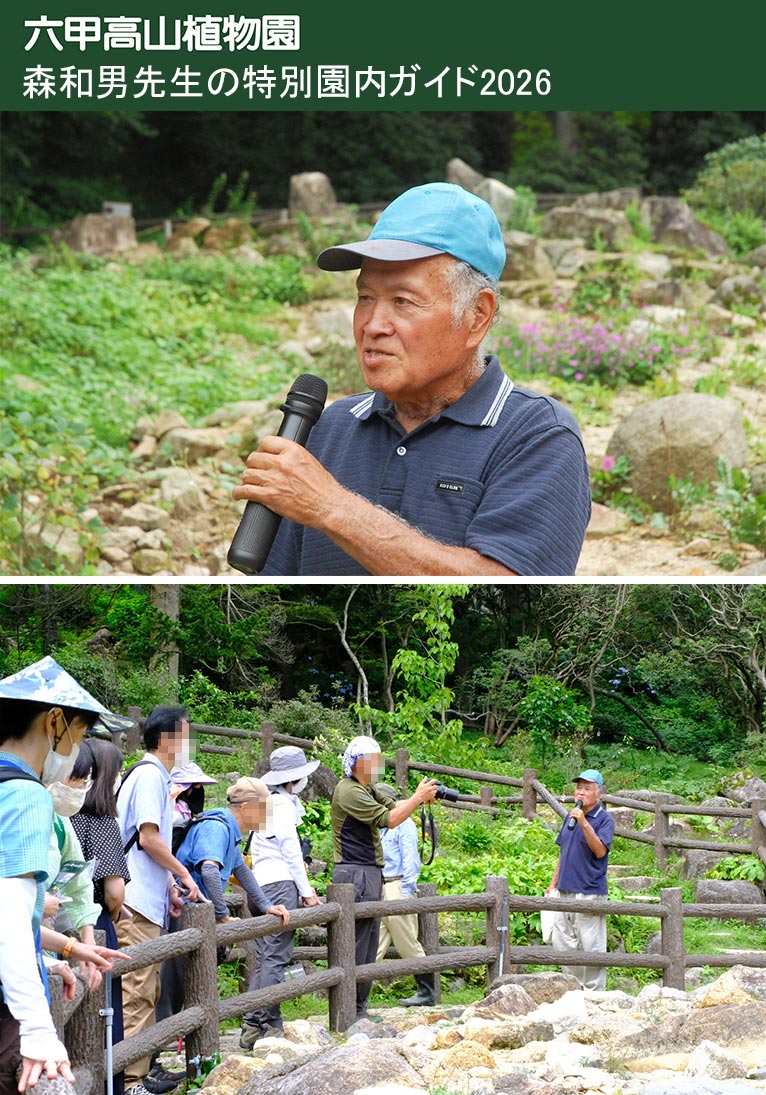 2026年3月14日～11月16日 毎月第3土曜日開催『森和男先生の特別園内ガイド2026』六甲高山植物園