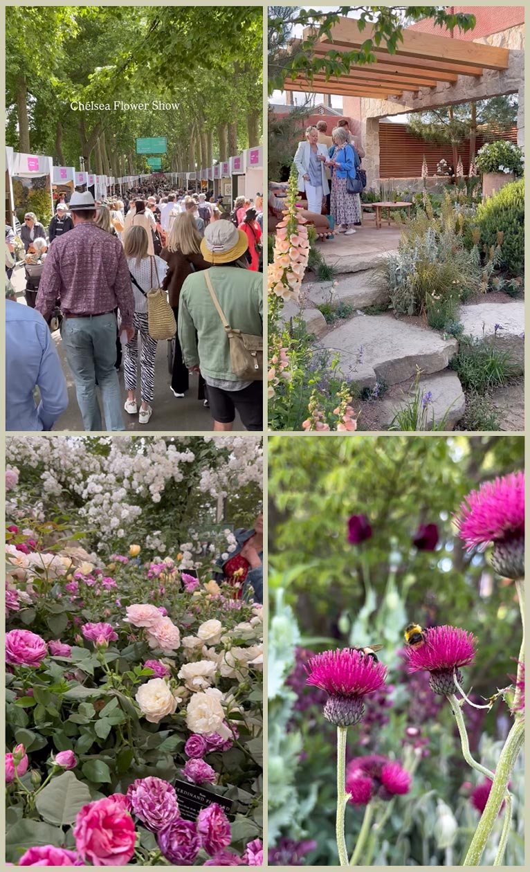 2026年5月19日『チェルシーフラワーショー2026 会員デー初日 現地ツアー』案内：makiko design studio TOKYO 佐藤 麻貴子氏