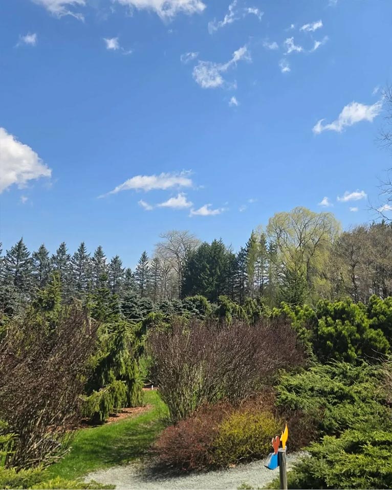 真鍋庭園 2026シーズン4月25日OPEN!