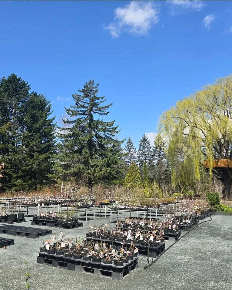 真鍋庭園 2026シーズン4月25日OPEN!