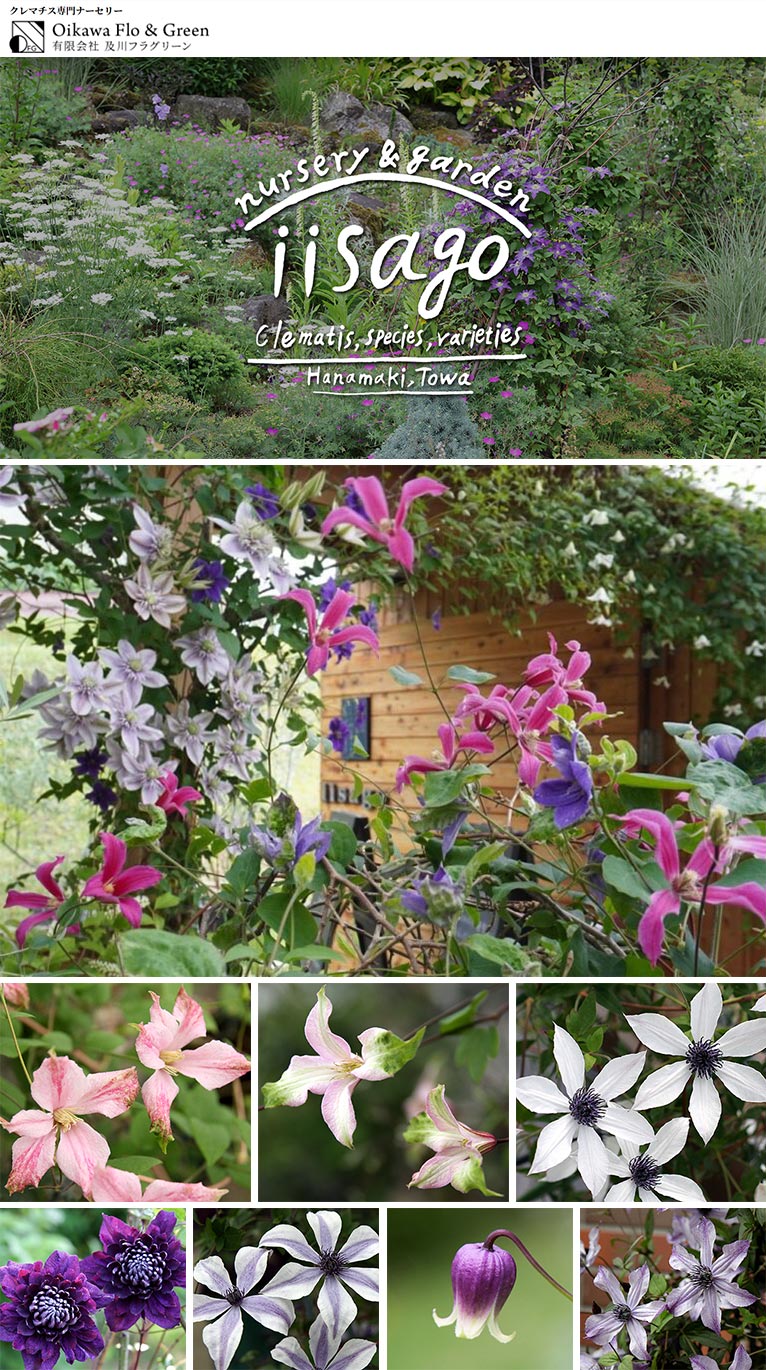 『イーサゴ ナーセリー&ガーデン 2026』及川フラグリーン　2026年5月1～10日、5月22～24日、5月29～6月7日、6月13・14日、6月20・21日、10月1～4日