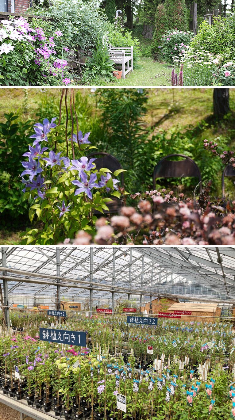 『イーサゴ ナーセリー&ガーデン 2026』及川フラグリーン　2026年5月1～10日、5月22～24日、5月29～6月7日、6月13・14日、6月20・21日、10月1～4日