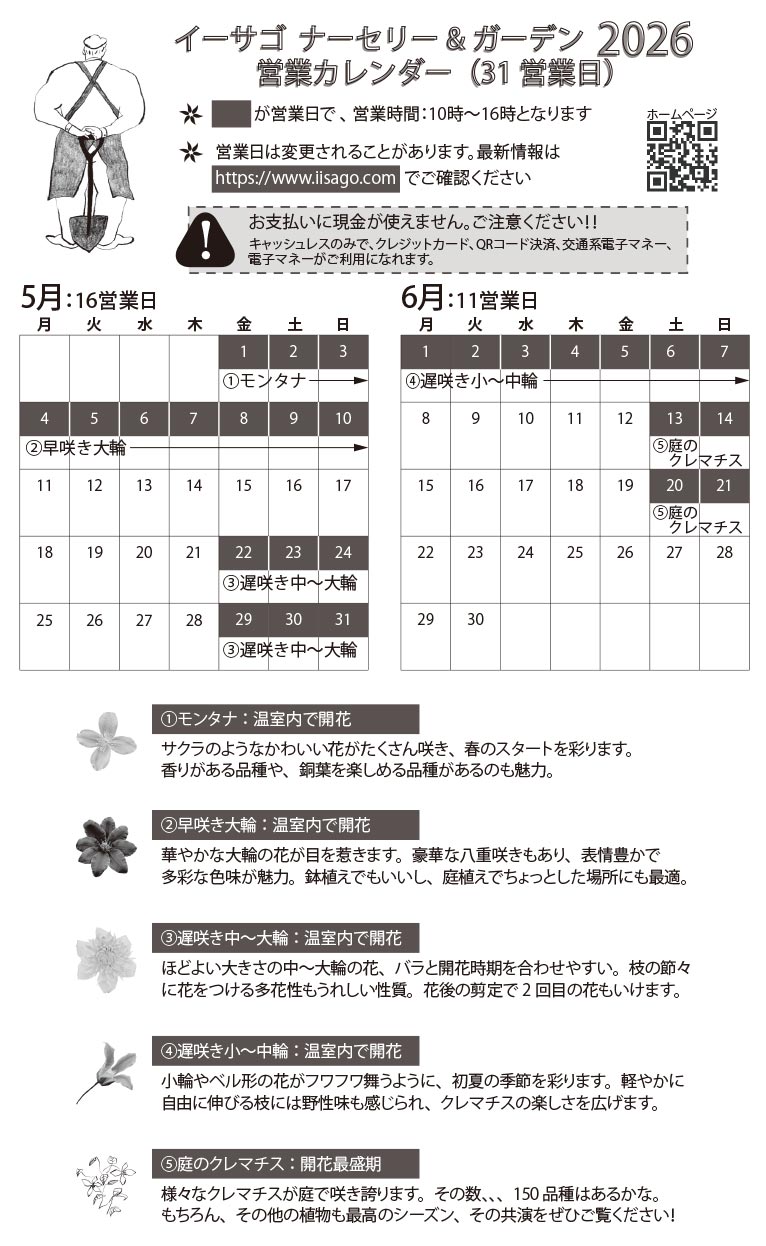 『イーサゴ ナーセリー&ガーデン 2026』及川フラグリーン 初夏営業カレンダー(27日間)　2026年5月1～10日、5月22～24日、5月29～6月7日、6月13・14日、6月20・21日