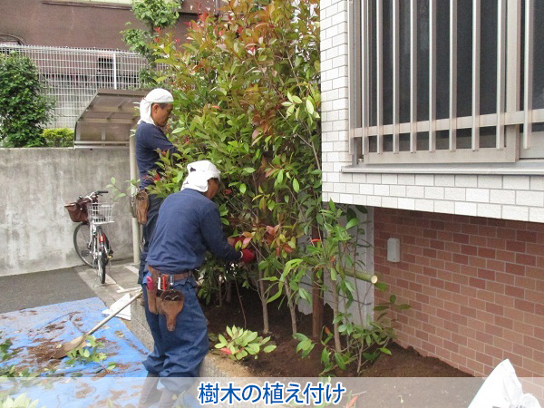 株式会社セゾンプライム　ガーデン事業　紹介ページ　デザイン / 施工　樹木の植え付け