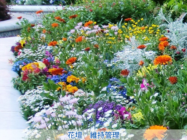 株式会社セゾンプライム　ガーデン事業　紹介ページ　レンタル / メンテナンス　花壇　維持管理