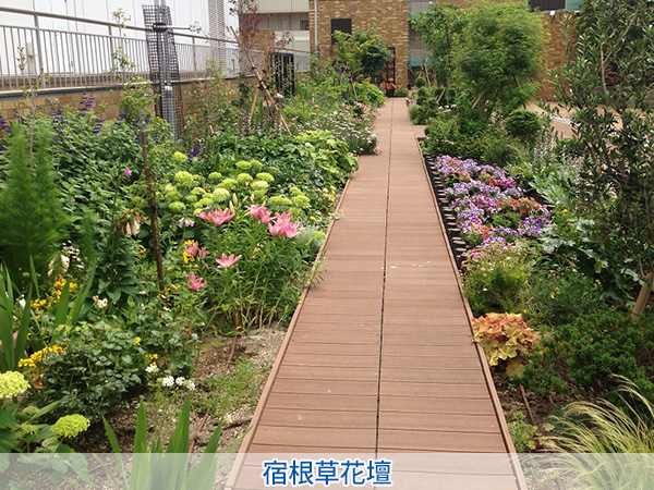 株式会社セゾンプライム　ガーデン事業　紹介ページ　レンタル / メンテナンス　宿根草花壇