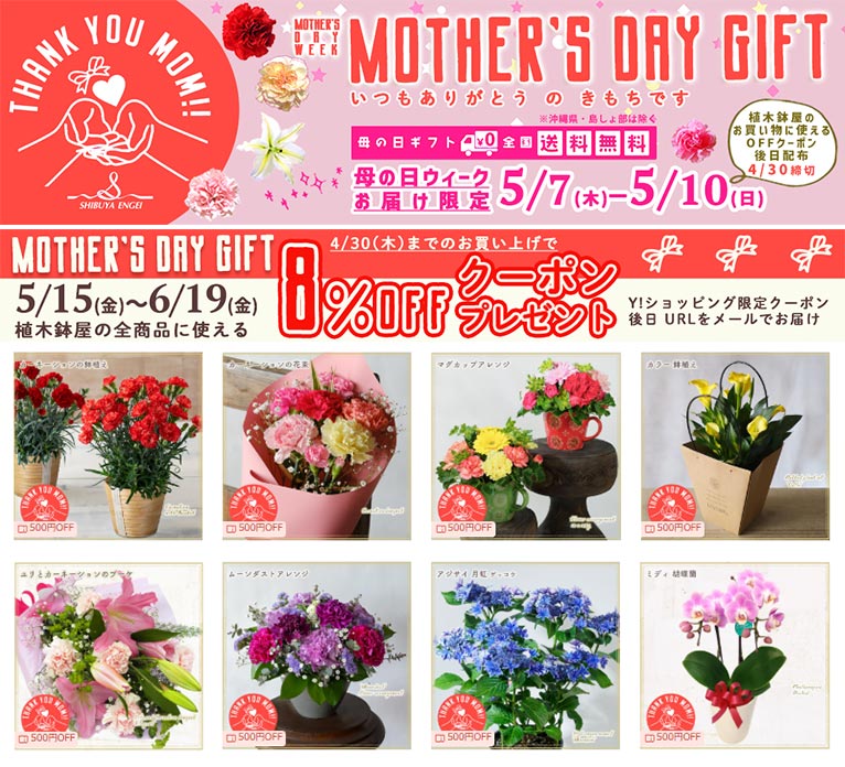 2026年4月30日までのご注文で、8%OFFクーポンをプレゼント！『2026母の日ウィークお届けギフト・早割』Yahoo!ショッピング植木鉢屋