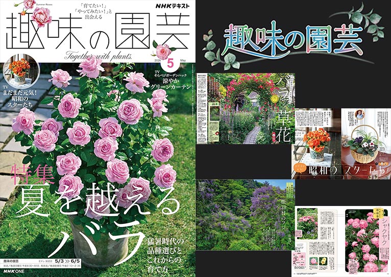 NHK趣味の園芸2026.5月号『その組み合わせ、ステキ！』【TV】5月17日①バラ×草花【TV】5月24日②シュラブ×草花『このバラ、暑くても元気です！』天野 麻里絵氏【TV】5月3日『まだまだ元気！ 昭和のスターたち』金子 明人氏『植物絶景紀行　美の源流を探る　第14回 根羽村のフジ』塚本 こなみ氏【連載】懐かしくて新しい 今、育てやすい 宿根草「シャクヤク」小黒 晃氏