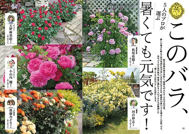 NHK趣味の園芸2026.5月号 このバラ、暑くても元気です！JGN創立メンバー 花遊庭ガーデナー 天野 麻里絵氏