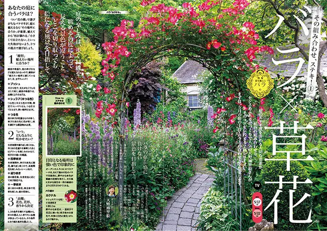 NHK趣味の園芸2026.5月号【TV】その組み合わせ、ステキ！①バラ×草花JGN創立メンバー 花遊庭ガーデナー 天野 麻里絵氏