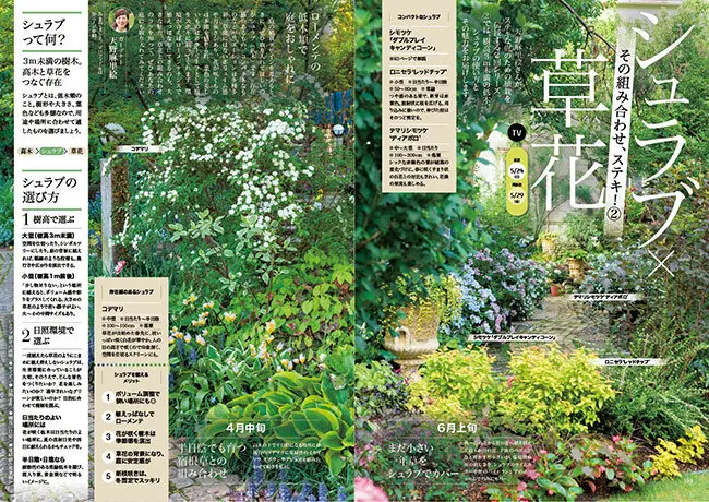 NHK趣味の園芸2026.5月号【TV】その組み合わせ、ステキ！②シュラブ×草花　JGN創立メンバー 花遊庭ガーデナー 天野 麻里絵氏