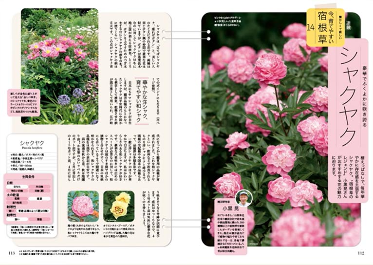 NHK趣味の園芸2026.5月号【連載】懐かしくて新しい 今、育てやすい 宿根草　第14回「シャクヤク」JGN創立メンバー 園芸家 小黒 晃氏