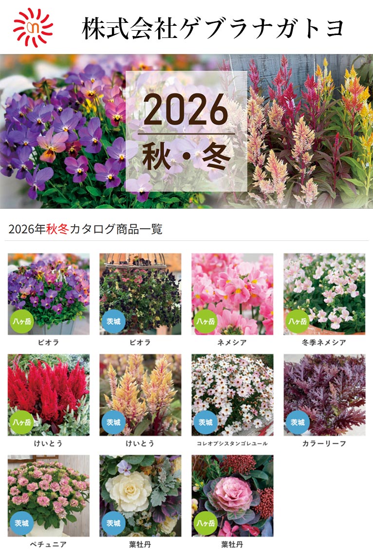 『2026年秋冬カタログ商品一覧』株式会社ゲブラナガトヨ