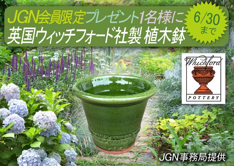 2026年6月1～30日『JGN会員限定 英国ウィッチフォード社製 植木鉢 抽選