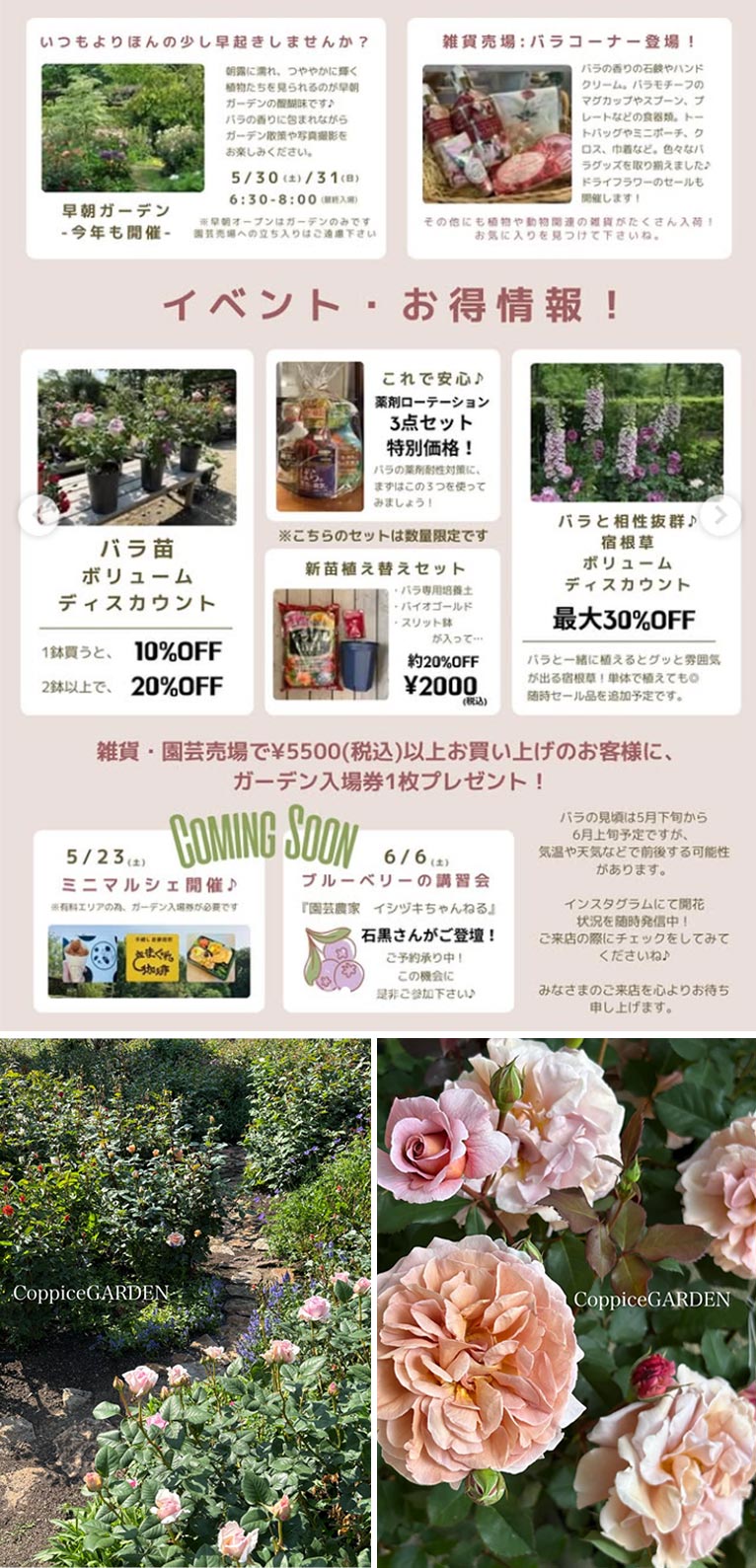 2026年5月20日～6月14日『春のローズウィーク2026』6月14日『ブルーベリーの講習会』講師：園芸農家イシヅキちゃんねる 石黒さん　コピスガーデン
