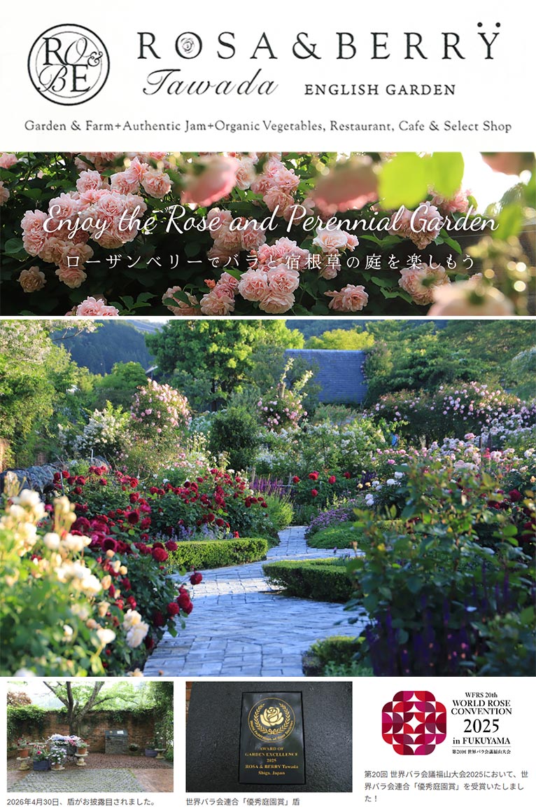 2026年5月15日～6月7日『Enjoy the Rose and Perennial Garden ～ ローザンベリーでバラと宿根草の庭を楽しもう ～』ROSE & BERRY Tawada　ローザンベリー多和田