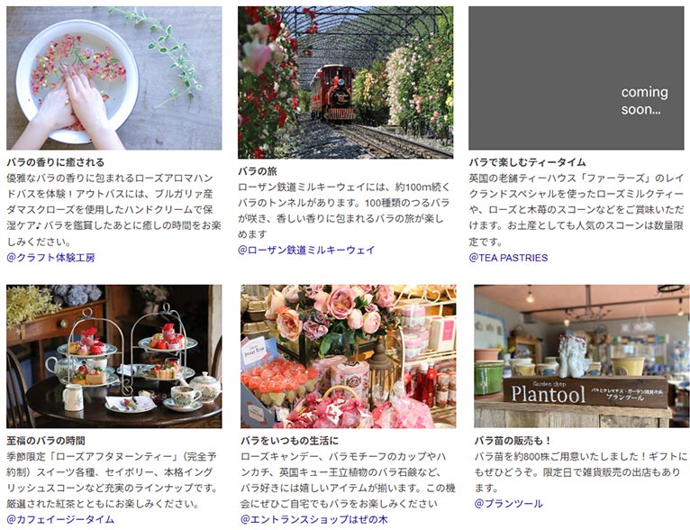 2026年5月15日～6月7日『Enjoy the Rose and Perennial Garden ～ ローザンベリーでバラと宿根草の庭を楽しもう ～』ROSE & BERRY Tawada　ローザンベリー多和田