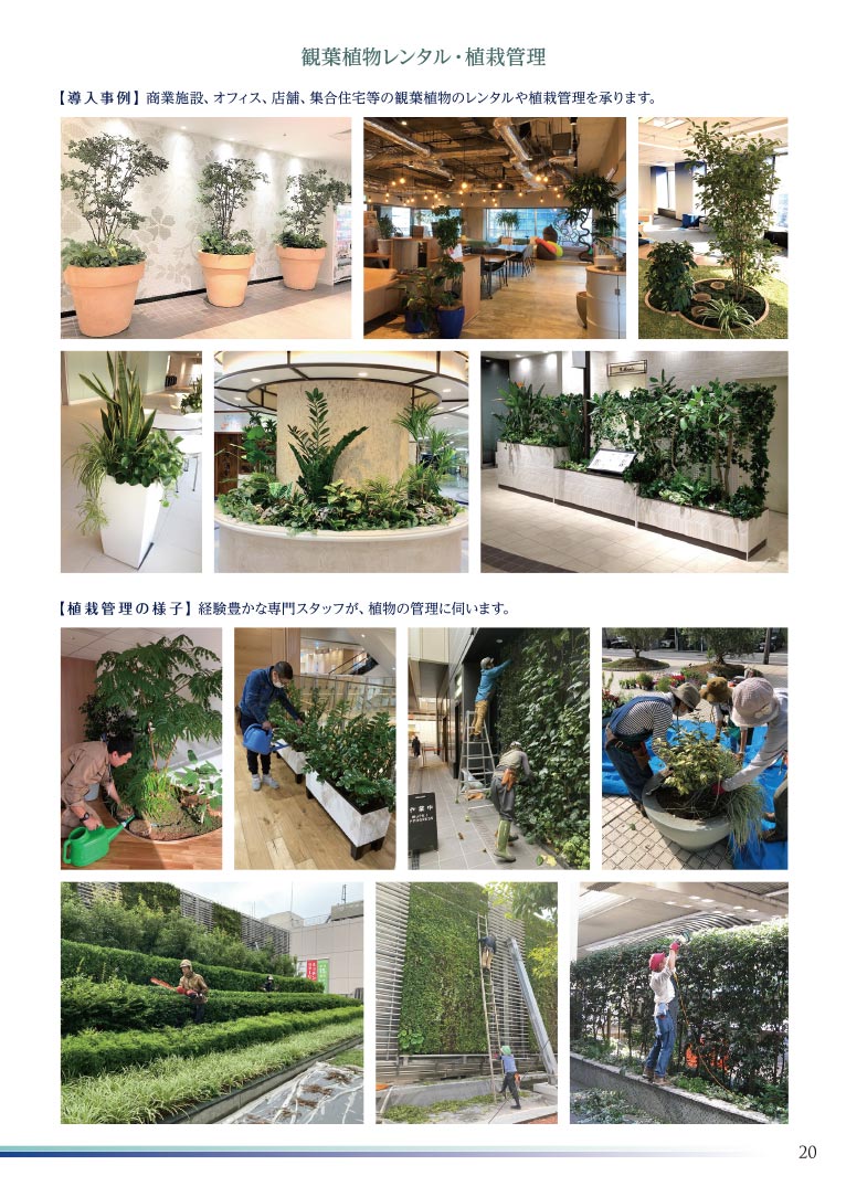 大切な方へ心を込めて贈る フラワー＆グリーンギフト 株式会社セゾンプライム ガーデン事業 観葉植物レンタル・植栽管理