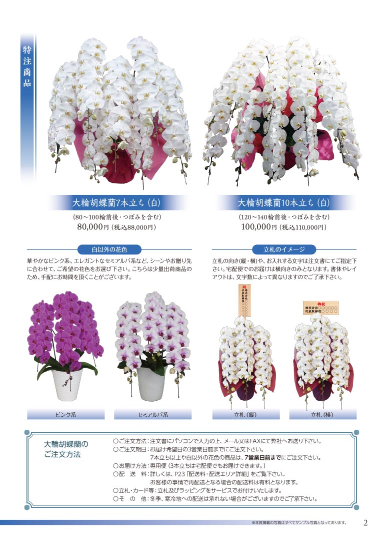 大切な方へ心を込めて贈る フラワー＆グリーンギフト 株式会社セゾンプライム ガーデン事業 大輪胡蝶蘭