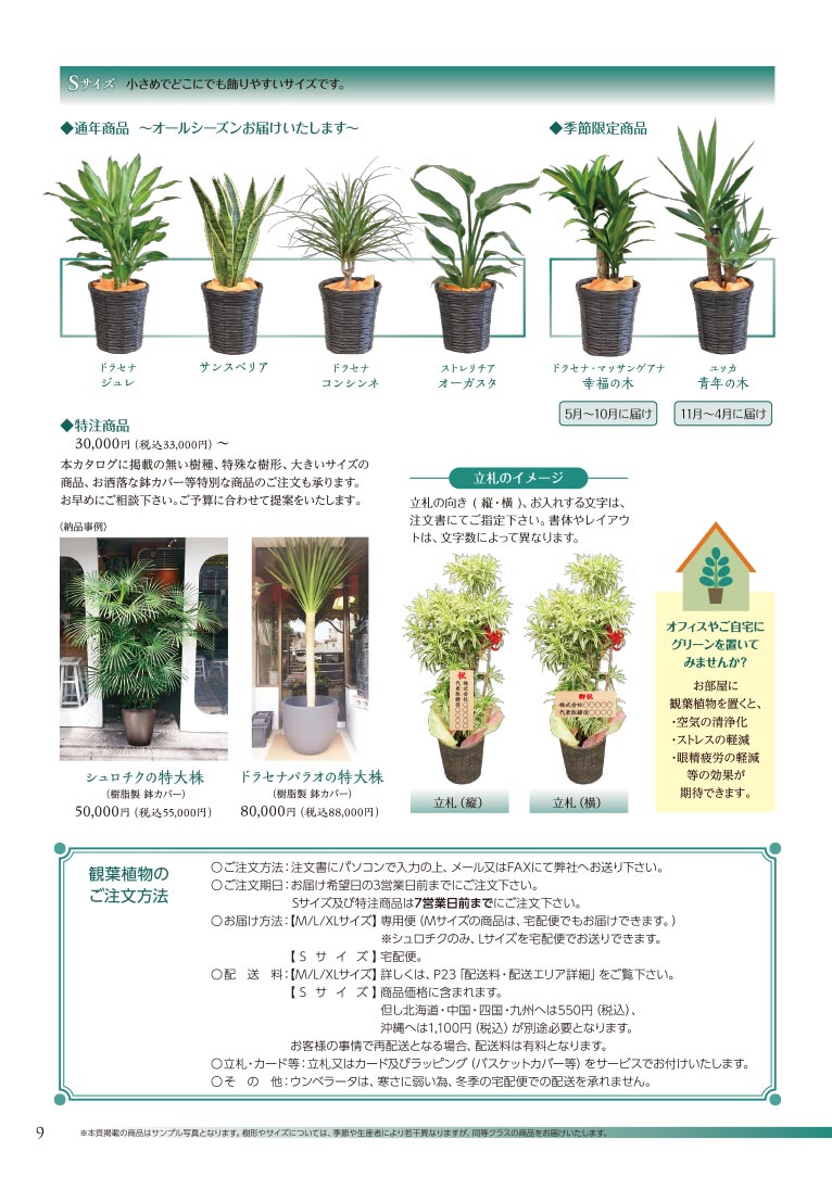 大切な方へ心を込めて贈る フラワー＆グリーンギフト 株式会社セゾンプライム ガーデン事業 観葉植物