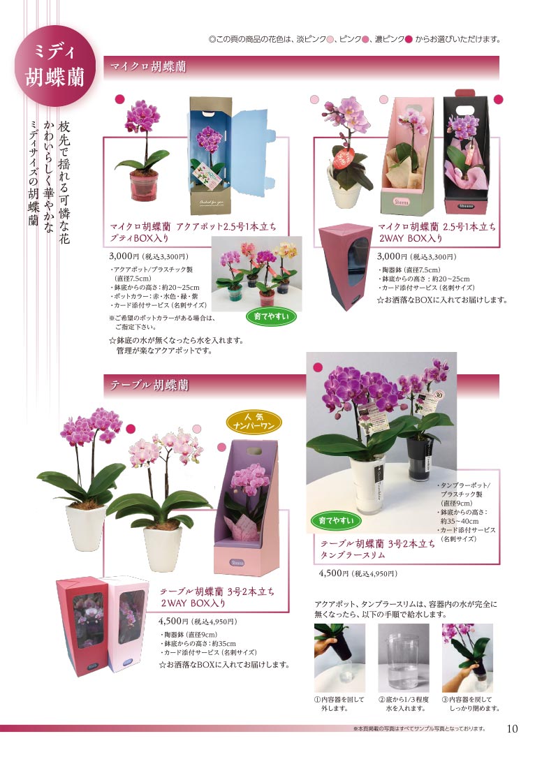 大切な方へ心を込めて贈る フラワー＆グリーンギフト 株式会社セゾンプライム ガーデン事業 ミディ胡蝶蘭