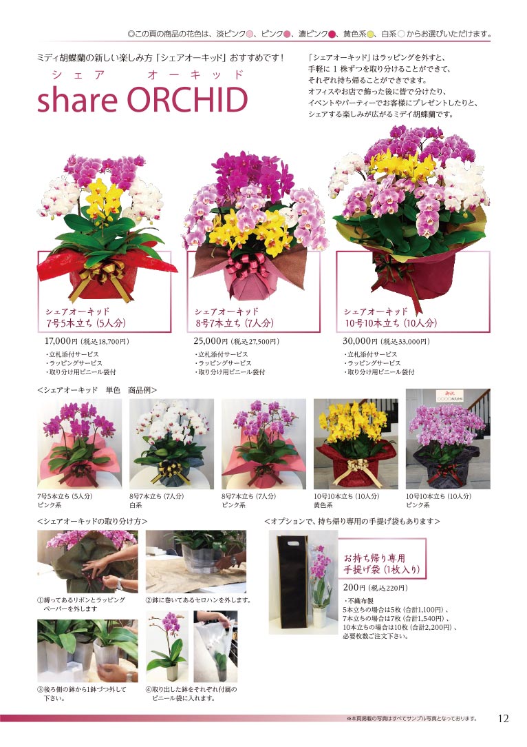 大切な方へ心を込めて贈る フラワー＆グリーンギフト 株式会社セゾンプライム ガーデン事業 ミディ胡蝶蘭