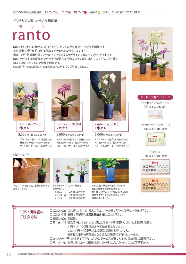 大切な方へ心を込めて贈る フラワー＆グリーンギフト 株式会社セゾンプライム ガーデン事業 ミディ胡蝶蘭