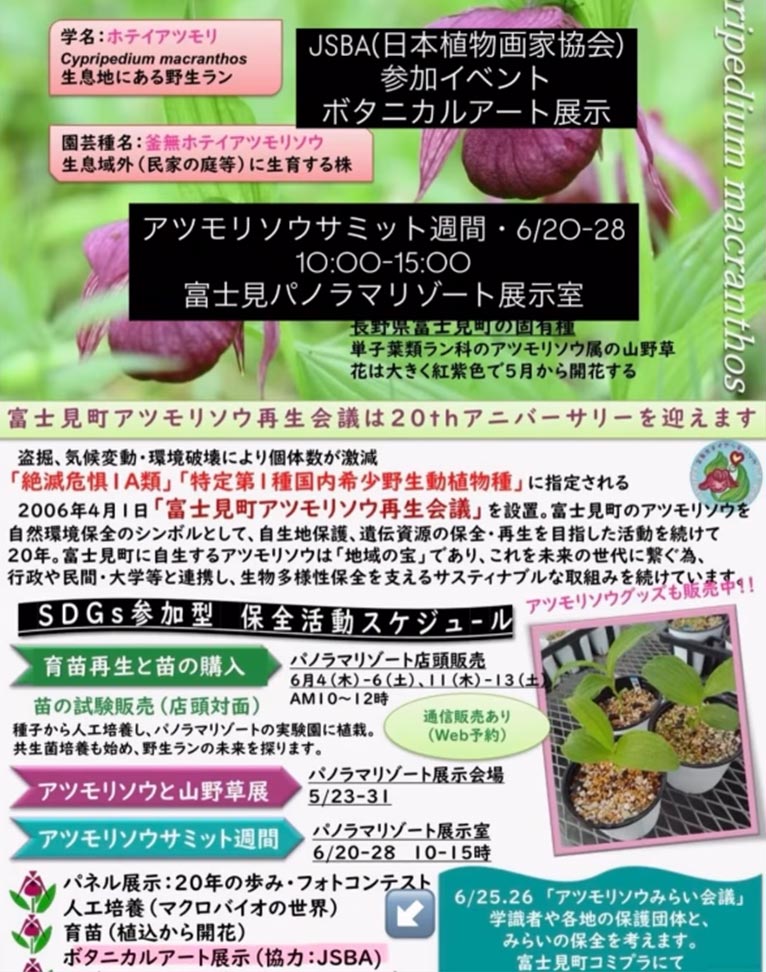 2026年6月20～28日『全日本アツモリソウサミット』富士見パノラマリゾート　日本植物画家協会の植物画も展示されます！