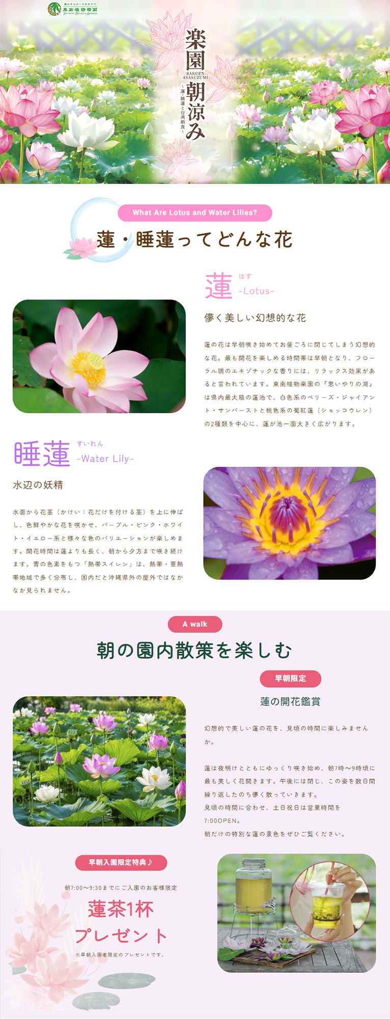 2026年6月13日～9月27日『楽園朝涼み～蓮・睡蓮と台湾朝食～ 2026』美らヤシパークオキナワ・東南植物楽園
