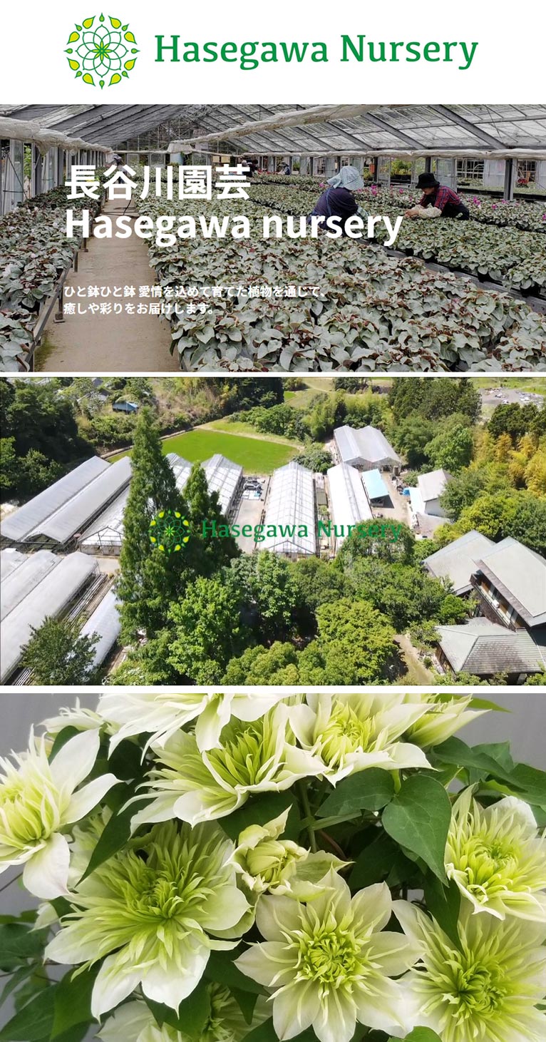 長谷川園芸 紹介ページ
