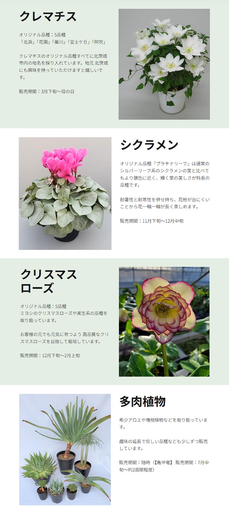 長谷川園芸 紹介ページ クレマチス・シクラメン・クリスマスローズ・多肉植物