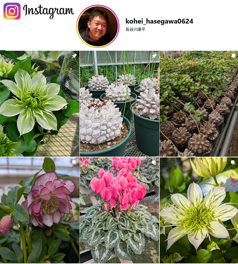 長谷川園芸 紹介ページ Instagram