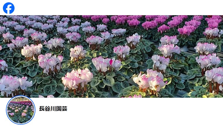 長谷川園芸 紹介ページ facebook