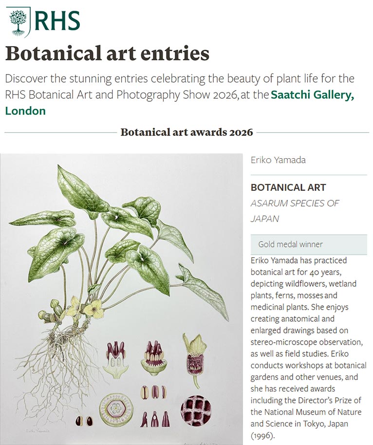 JGNメンバーのやまだえりこさんが『RHS Botanical Art and Photography Show 2026』にてGold メダルを受賞されました！