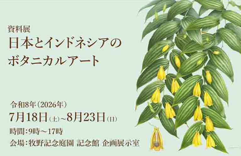 2026年7月18日～8月23日牧野記念庭園 資料展「日本とインドネシアのボタニカルアート」7月20日『アーティストトーク』石川美枝子氏、山田道惠氏、伊藤麻衣子氏