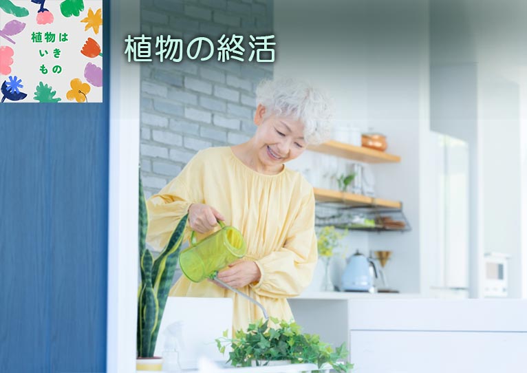 植物の終活　コラム「植物はいきもの」