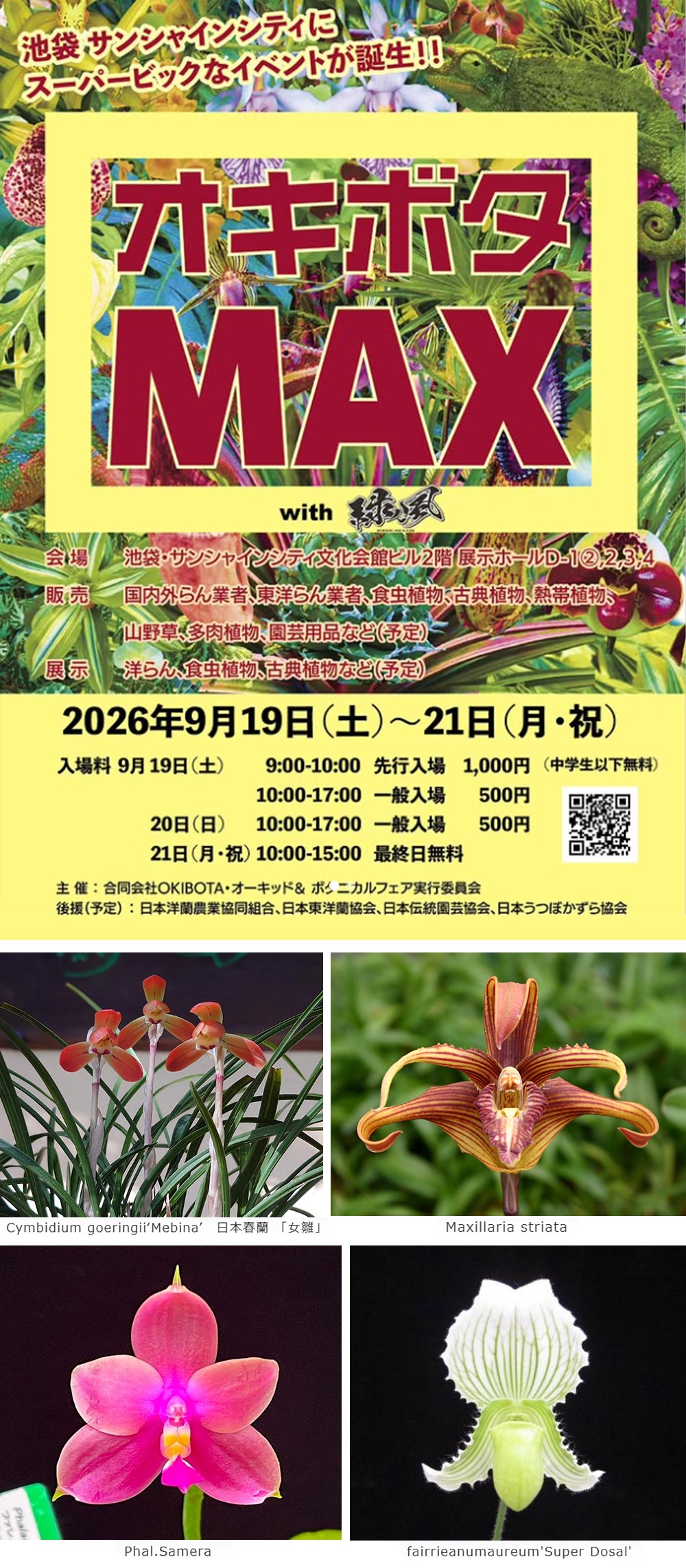 2026年9月19～21日『オキボタMAX～September～2026』JGNメンバーのオランジェリー・コレクションさん、寿峰苑さまが出店されます！