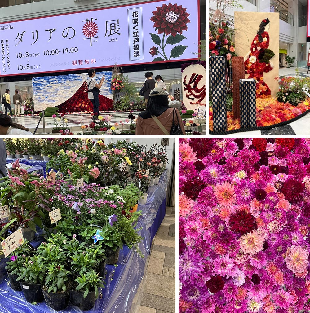 2026年10月2～4日『ダリアの華展 2026』サンシャインシティ ワークショップ作品例