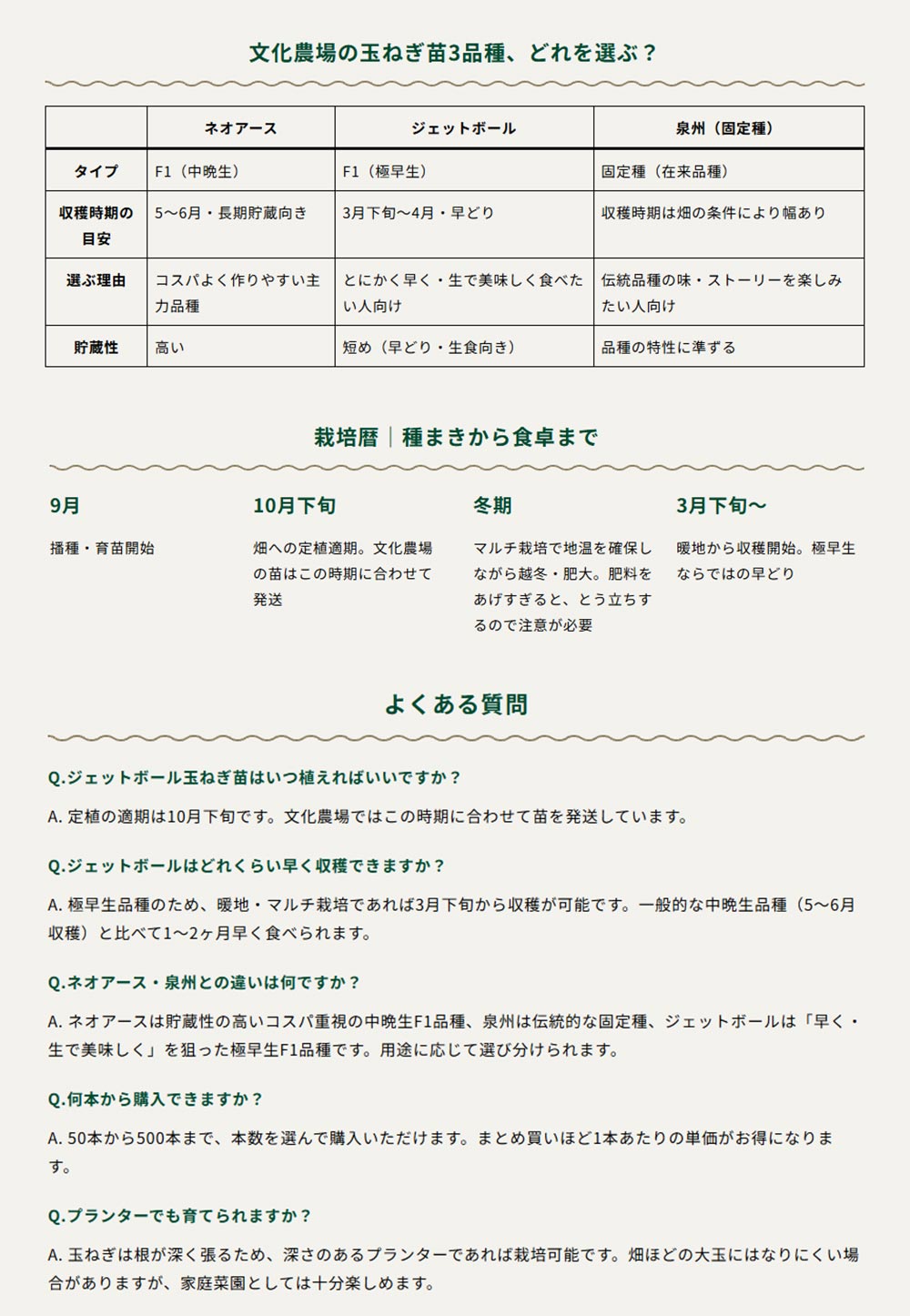 2026年度分 玉ねぎ苗販売 有限会社 文化農場
