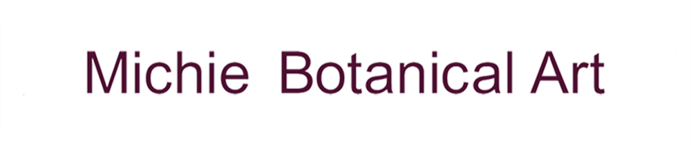 Botanical Artist 道惠