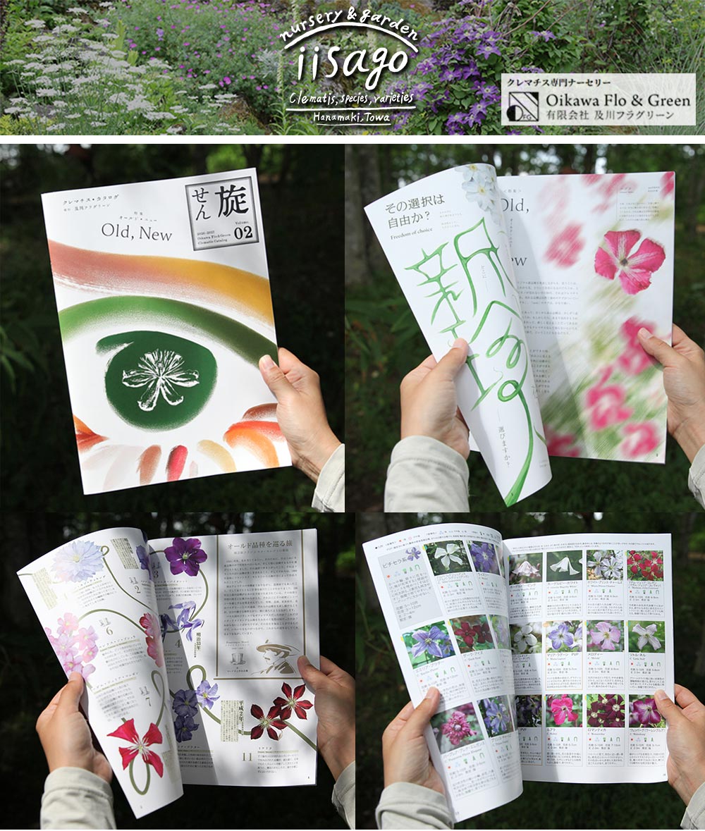 【販売中】クレマチスカタログ「旋（せん）」vol.2　及川フラグリーン