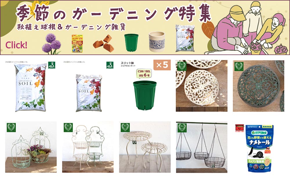 「秋の園芸シーズン！秋植え球根＆ガーデニング雑貨」Yahoo!ショッピング植木鉢屋 株式会社 渋谷園芸