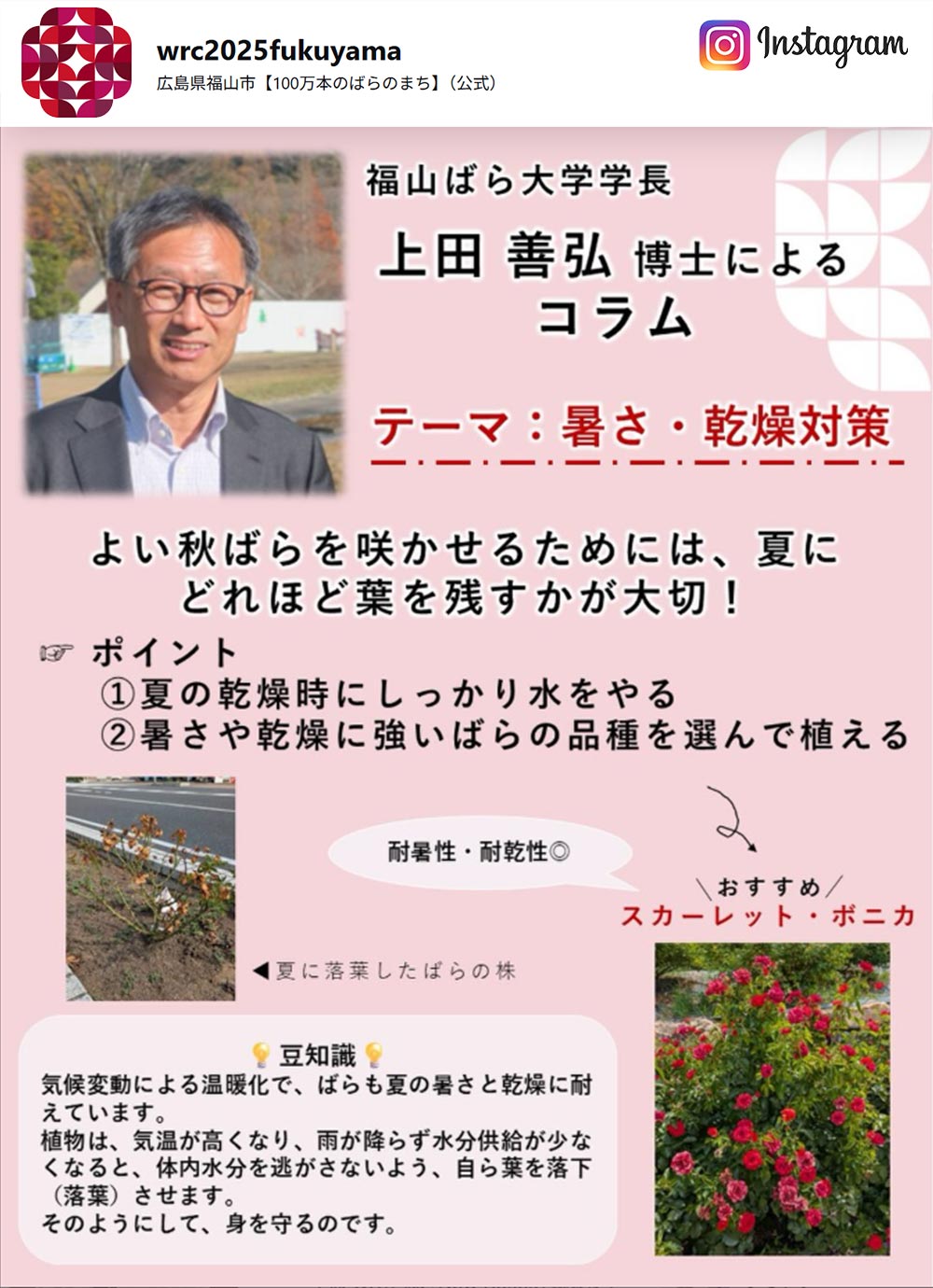 福山ばら大学学長 上田 善弘 博士によるコラム『暑さ・乾燥対策』